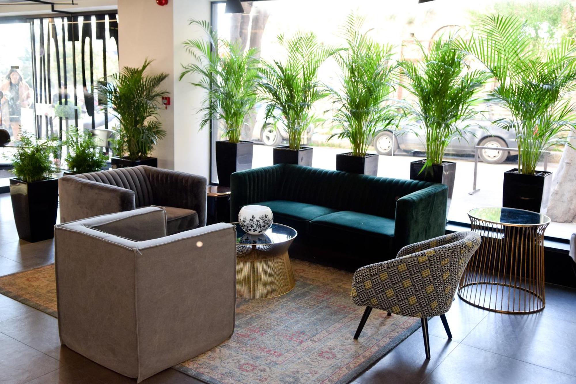 פאטרה Adonis City Hotel מראה חיצוני תמונה